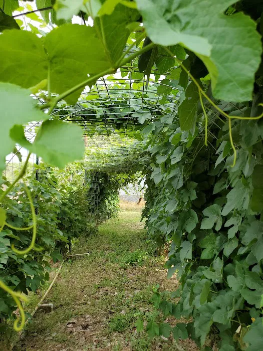 HAV PROPERTIES/Palmer's MHP Picture 6