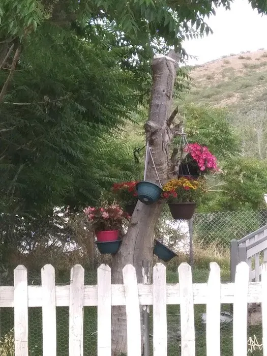 Mountaingate Estates MH and RV Park Picture 7