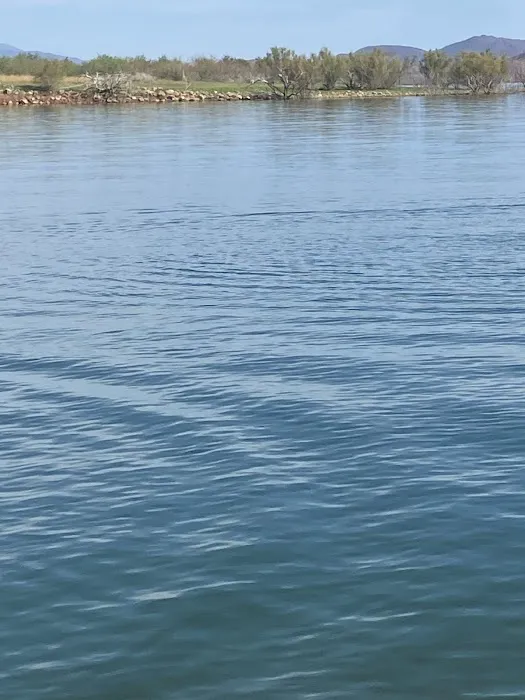 Roosevelt Resort RV Park Picture 5