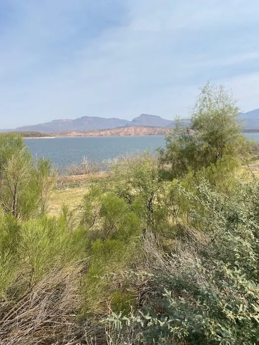 Roosevelt Resort RV Park Picture 6