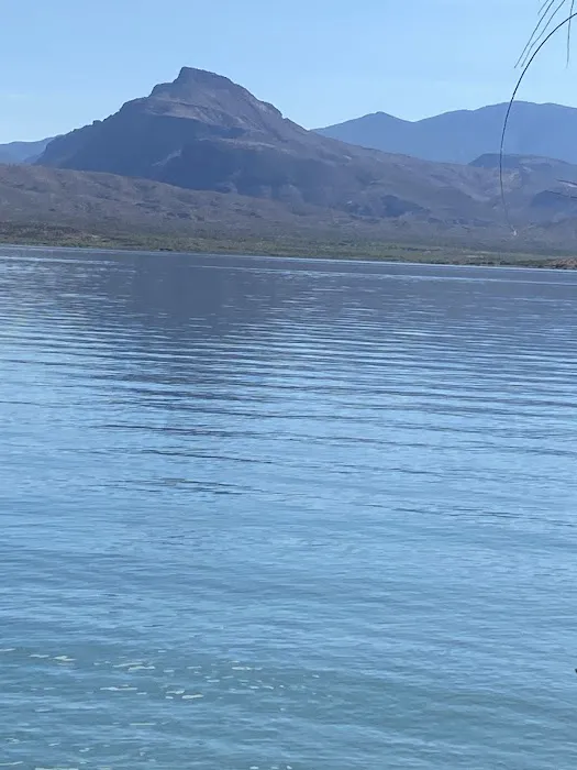 Roosevelt Resort RV Park Picture 4