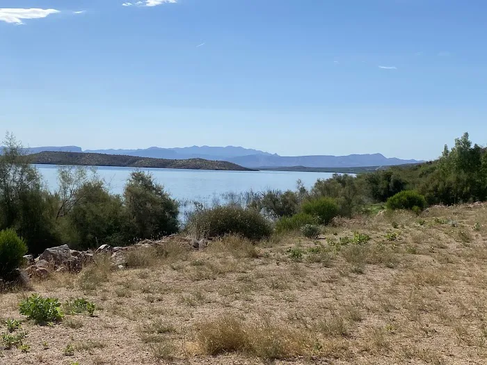 Roosevelt Resort RV Park Picture 8