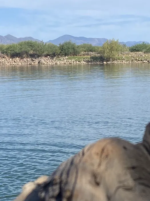 Roosevelt Resort RV Park Picture 7