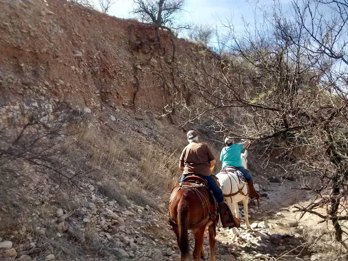 Caballo Loco Ranch LLC Picture 5