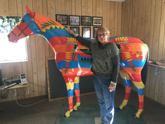 Caballo Loco Ranch LLC Picture 6