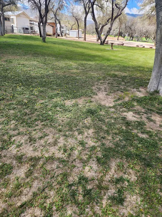 Sleepy Hollow RV Park Picture 5