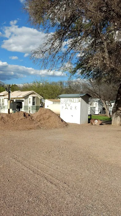 Sleepy Hollow RV Park Picture 7