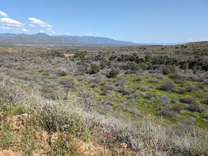 Picture Mountain RV Park Picture 2