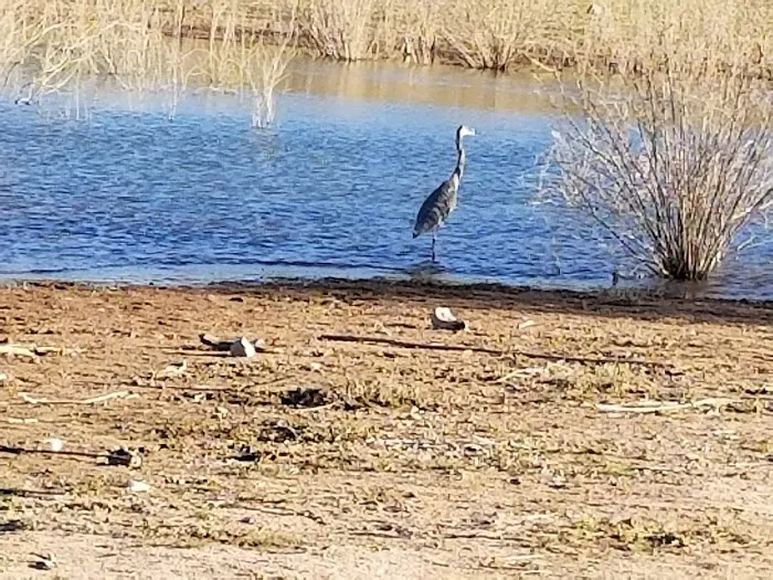 Picture Mountain RV Park Picture 9