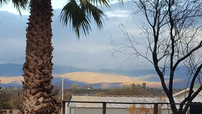 Rogers RV Park Picture 2