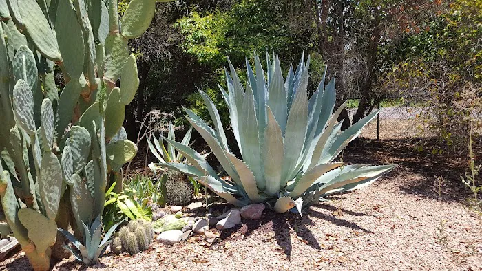 Rogers RV Park Picture 4