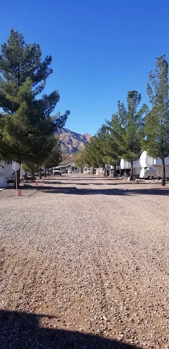 Tonto Creek Trail Adult RV & MHC Picture 9