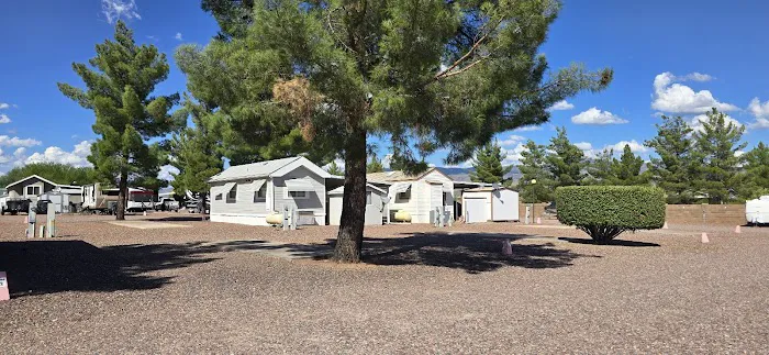 Tonto Creek Trail Adult RV & MHC Picture 8