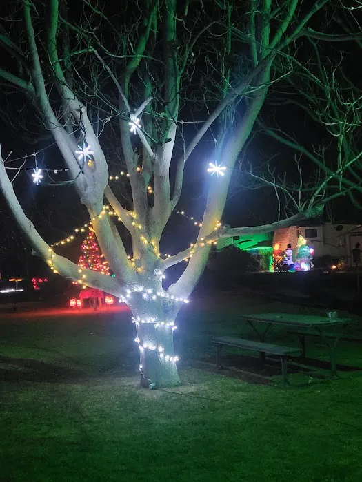 Greenback Crossing RV Park and Storage Picture 5