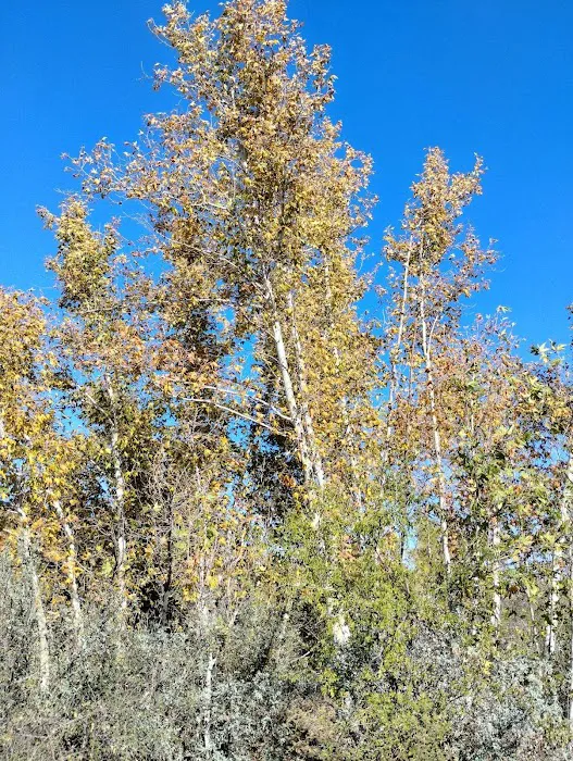 Jakes Corner Bar Picture 5