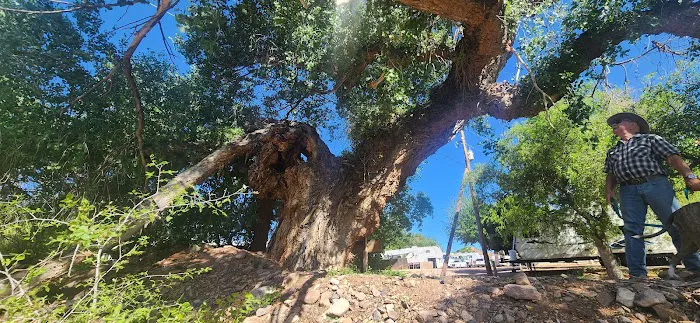 Jakes Corner Bar Picture 4