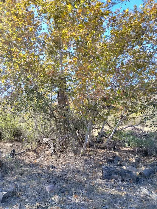 Jakes Corner Bar Picture 1