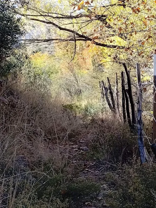 Jakes Corner Bar Picture 10