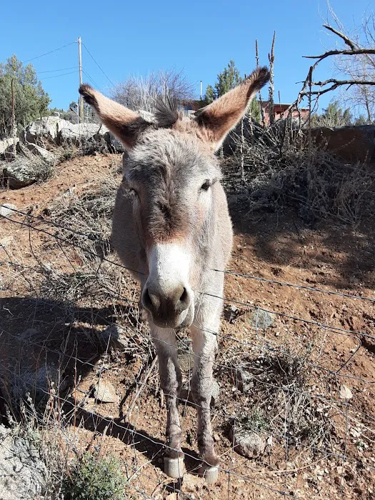 Oxbow RV Park Picture 3