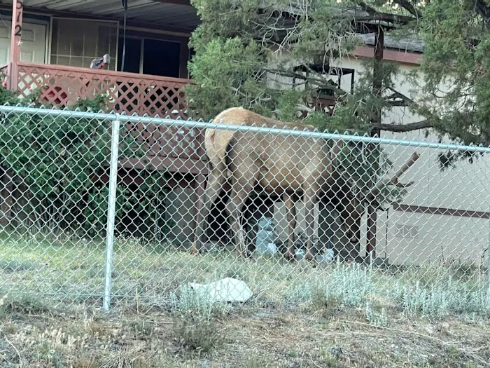 Mountain Shadows Mobile Trailer Picture 2