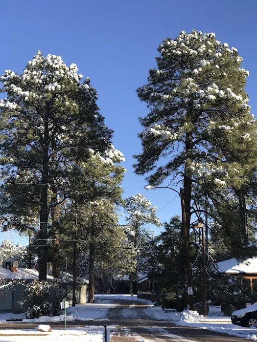 Mountain Shadows Mobile Trailer Picture 5