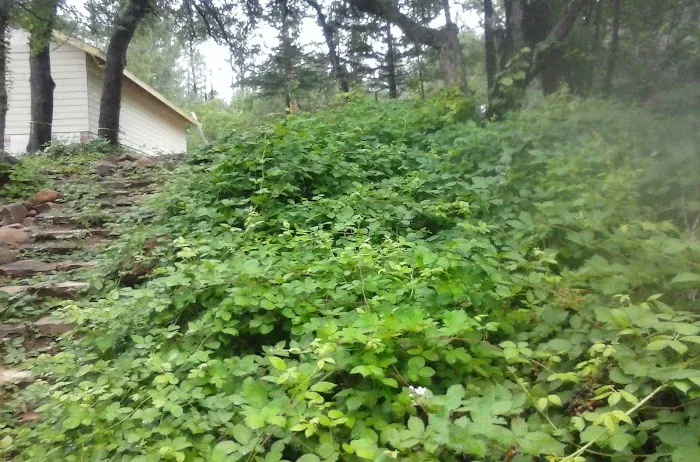 Rim Country Estates Picture 8