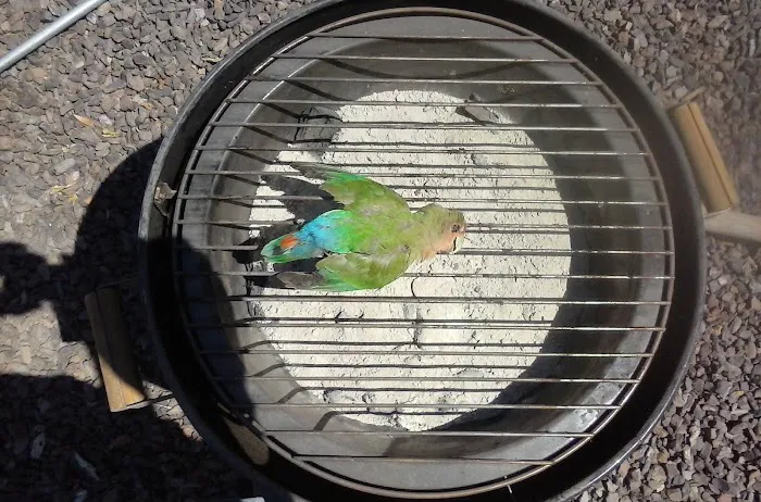 Rim Country Estates Picture 10