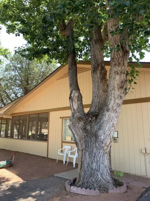 Houston Creek RV Resort Picture 1