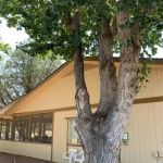 Houston Creek RV Resort