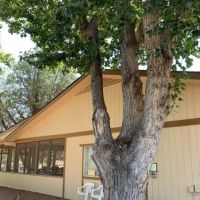 Houston Creek RV Resort ico