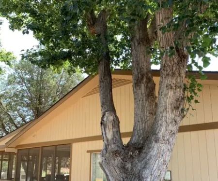 Houston Creek RV Resort