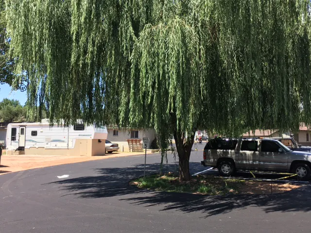 Lazy D Ranch RV & Apartments Picture 3