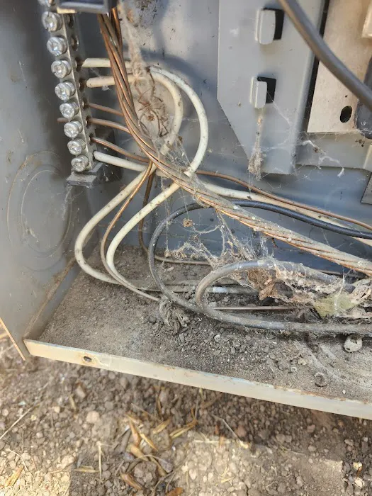 Lazy D Ranch RV & Apartments Picture 10