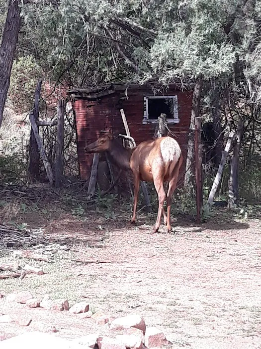Shady Haven RV Park Picture 2