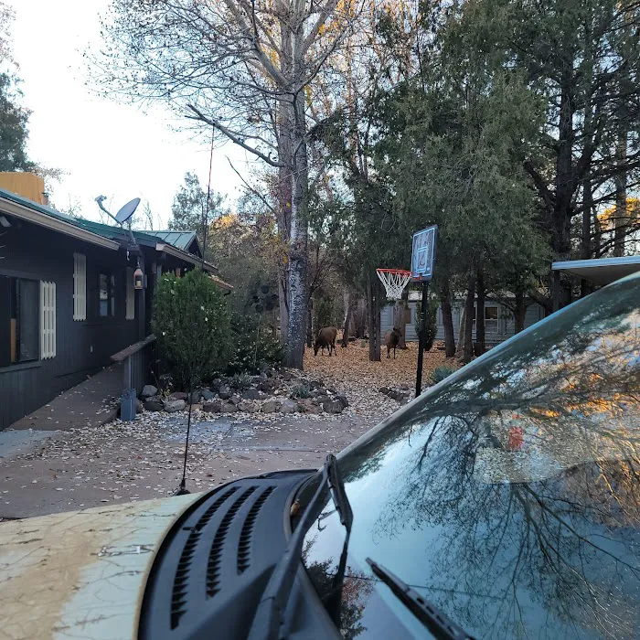 Shady Haven RV Park Picture 4