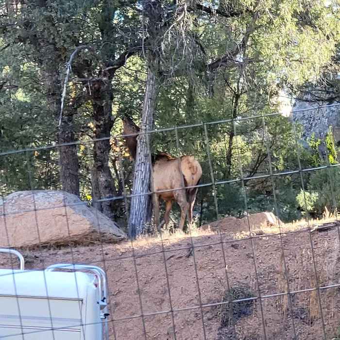 Shady Haven RV Park Picture 9