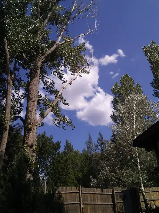 Shady Haven RV Park Picture 8