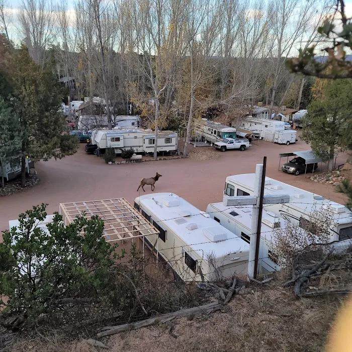 Shady Haven RV Park Picture 7