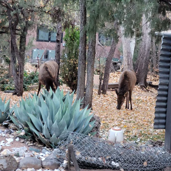 Shady Haven RV Park Picture 10