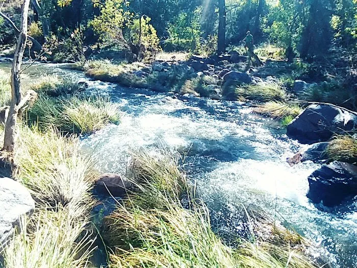 Oak Mobile Home Park Picture 1