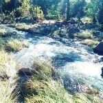 Oak Mobile Home Park