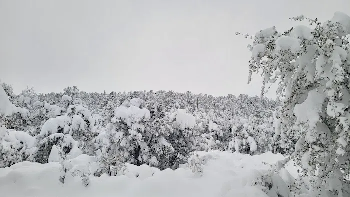 Oak Mobile Home Park Picture 4