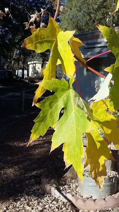 Oak Mobile Home Park Picture 7