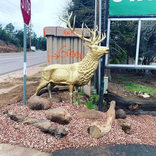 Lil’ W Ranch Picture 4