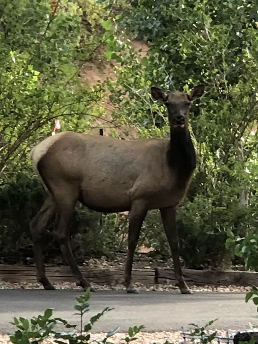 Lil’ W Ranch Picture 5