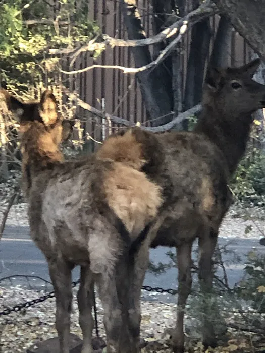 Lil’ W Ranch Picture 7