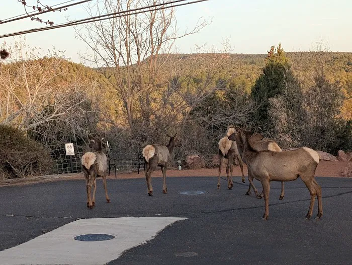 Sky Run RV Resort Picture 6