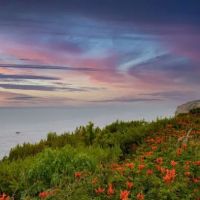 Palos Verdes Shores MH & Golf Community ico