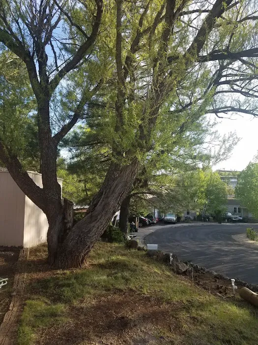 Switzer Canyon Mobile Home Park Picture 8