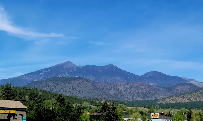 Black Barts RV Park Picture 4